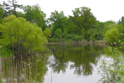 17 1-Jun-13 07-22-28 P7100 004